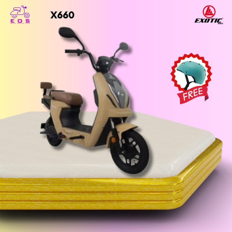 WhatsApp Image 2025-05-10 at 12.41